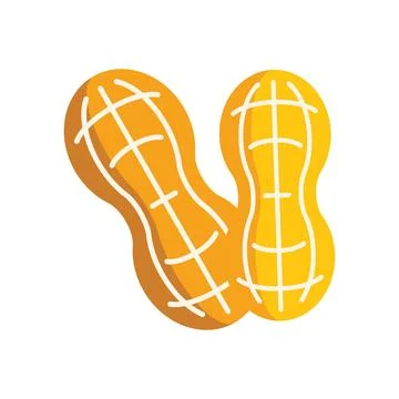 Two peanuts in shell lying next to each other Stock Illustration