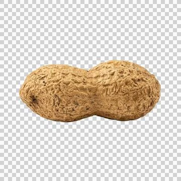 Two peanuts in shell on transparent background, top view, studio shot, clos.. Stock Photos