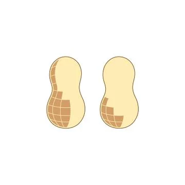 Two peanuts vector illustration isolated on white background. Stock Illustration