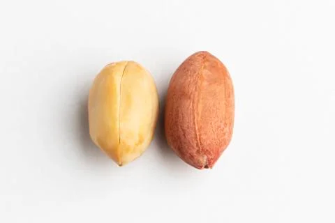 Two peanuts on a white background Stock Photos