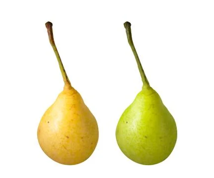 Two pears isolated on white background Stock Photos