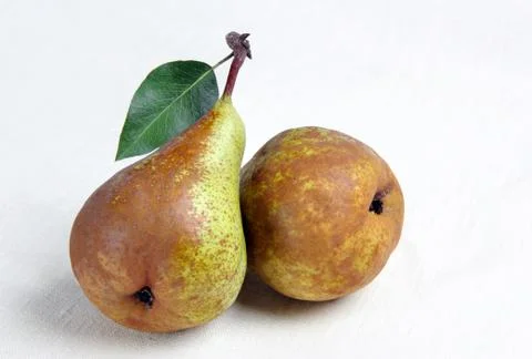 Two pears Foto stock
