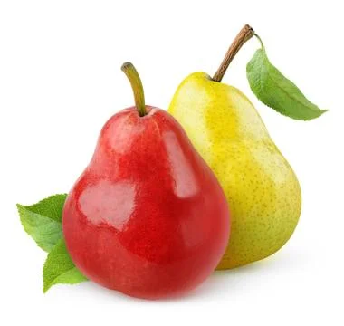 Two pears Stock Photos