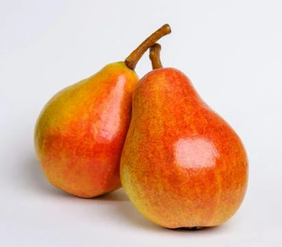 Two pears on a white background 写真素材