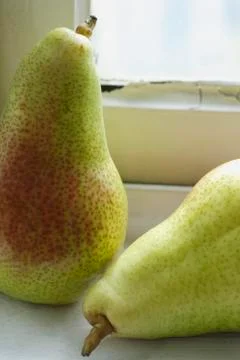 Two pears by window Stock Photos