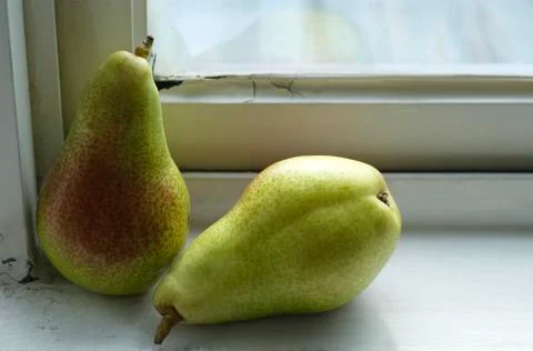 Two pears by window Stock Photos