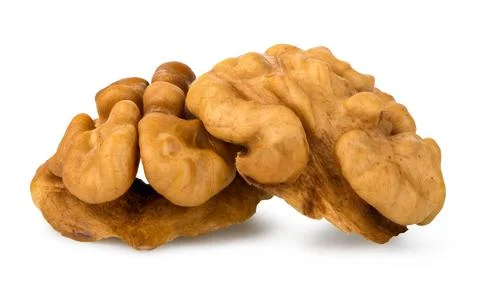Two peeled walnuts Stock Photos