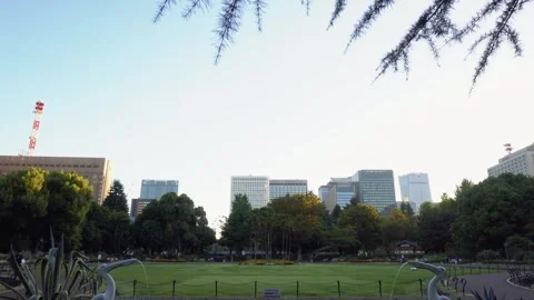 Two Pelican Statues Spewing Water at Pond in Hibiya Park in Central Tokyo, Japan Stock Footage 269150330