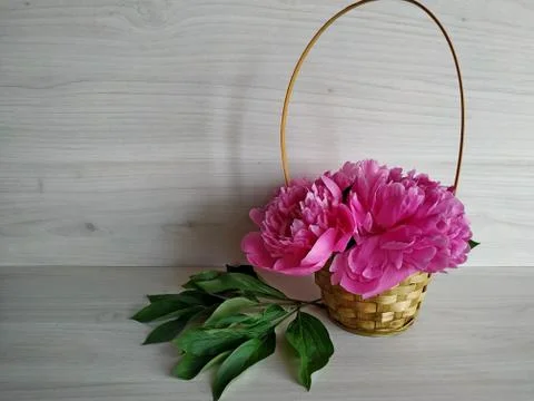 Two peonies on a light wood table and one peony standing in a transparent vase Stock Photos