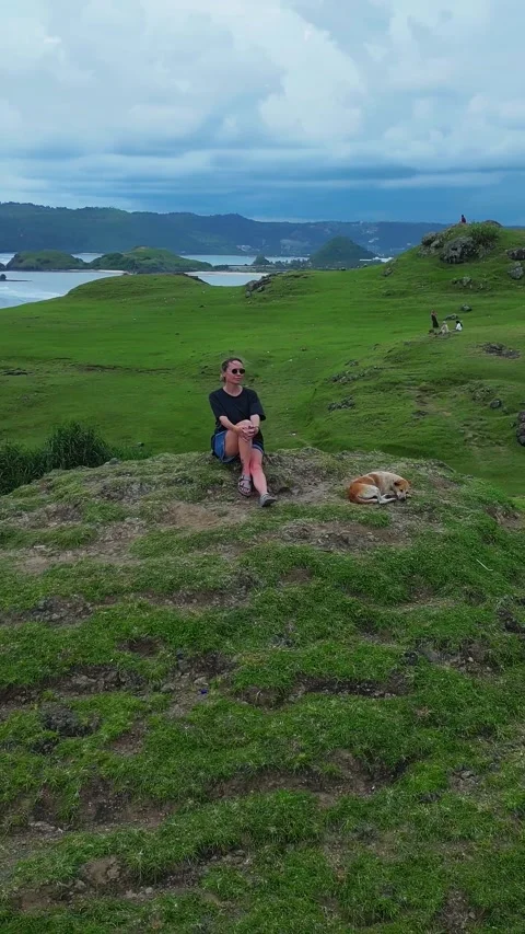 Two people and their pet relaxing at serene coastal overlook Видео 335223368