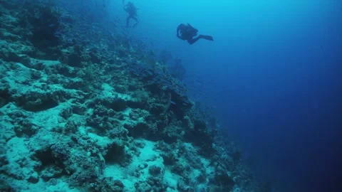 Two people are diving in the ocean Stock Footage 276409617