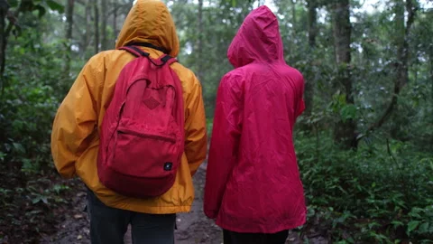 Two people are standing in a forest, one wearing a yellow jacket Stock Footage 280982156
