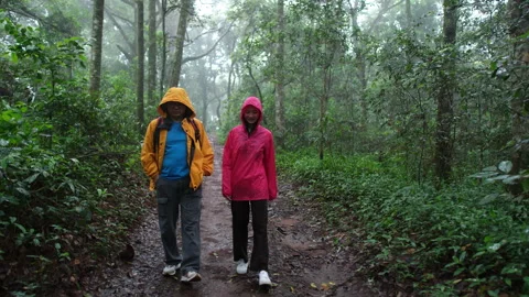 Two people are standing in a forest, one wearing a yellow jacket Stock Footage 281075963