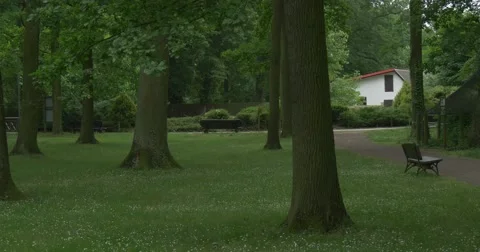 Two People Are Walking, Benche, Pathway ,Green Park,White House Stock Footage 51614098