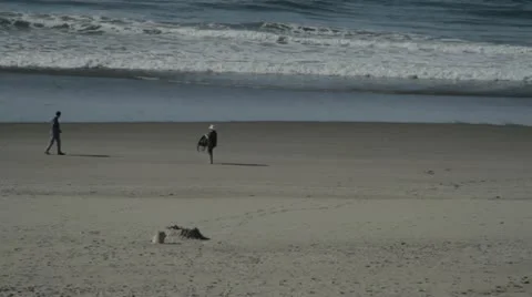 Two people on Beach. Video stock 12364823