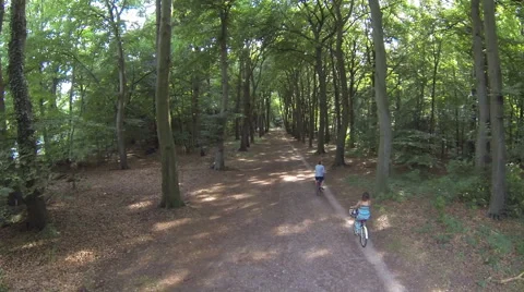 Two people on a bicycle in the forest shot with a drone Stock Footage 48809293