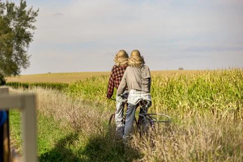 Two people biking through a corn field Stock Photos