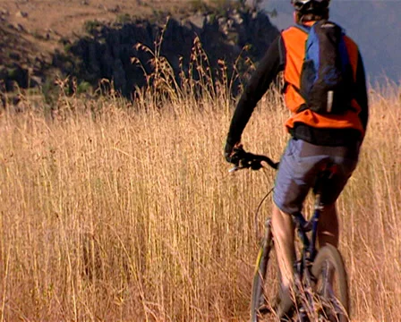 Two people biking through grassland Stock Footage 36327161