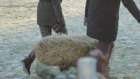 Two people carry a haystack, frost on the grass Stock Footage 275332865