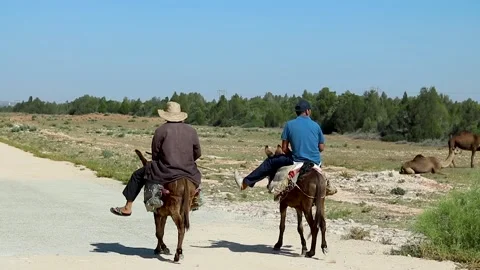 Two people on a donkey Stock Footage 238626031