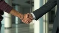 The two people handshake. slow motion 4k or 4k+ Resolution