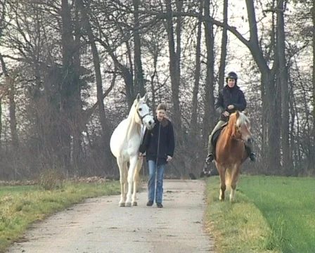 Two people with horses Stockbeeldmateriaal 81926