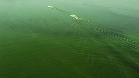 Two people on jet skis float on green water with small waves. Drone shooting Stock Footage 135881356