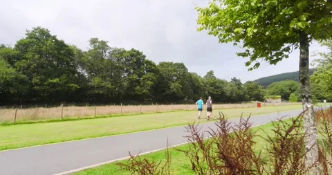 Two people jogging on park path surrounded by lush green trees Stock Footage 345571347