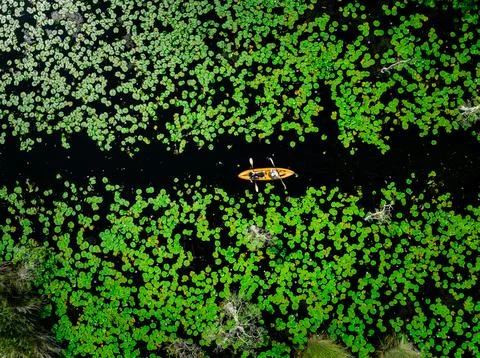 Two People Kayaking Through Dense Water Lilies In Rayong Province Thailand .. Stock Photos
