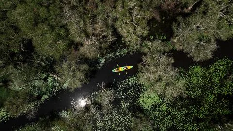 Two People Kayaking Through Dense Swamp Forest In Rayong Province Thailand .. Stock Photos