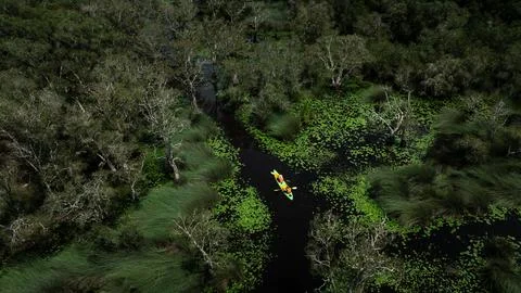 Two People Kayaking Through Lush Swamp Wetland In Rayong Thailand High Angl.. 库存照片