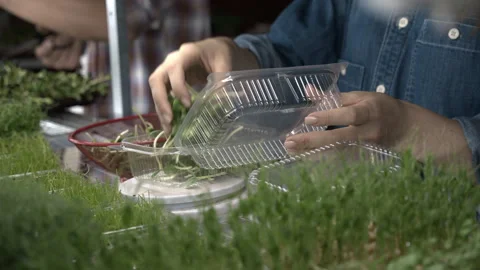 Two people packaging microgreens Stock Footage 255230720