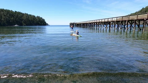 Two people paddleboarding on calm blue water near a long wooden pier under a-223 Stock Footage 346102986