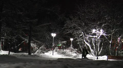 Two people pass through a snowy alley in the night winter Park. Stock Footage 64570114