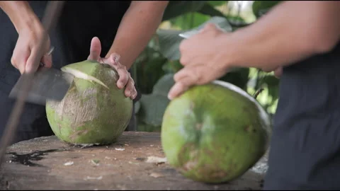 Two People Preparing Fresh Young Coconut with Machete Side By Side Stock Footage 307721973