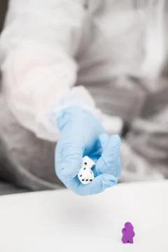 Two people in protective white translucent suit, blue rubber gloves, medical Stock Photos