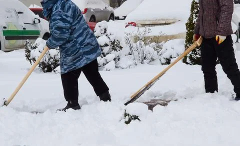 Two people remove snow from the paths with a special shovel. Stock Photos