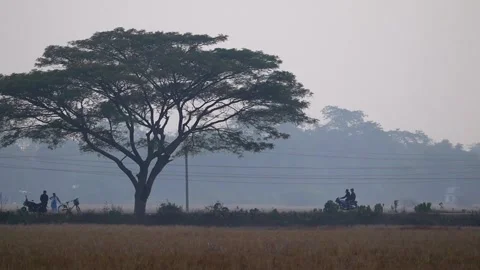 Two people riding a motorcycle through rural landscape in Assam, India Stock Footage 326988063