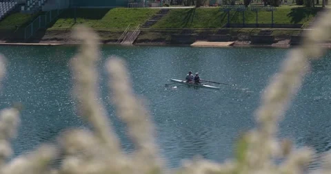 Two people rowing double scull on lake 스톡 동영상 332511094