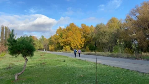 Two people running along a path in an autumn park in the city. Stock Footage 285225638