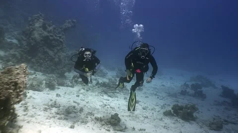 Two people scuba diving in ocean Stock Footage 276363435