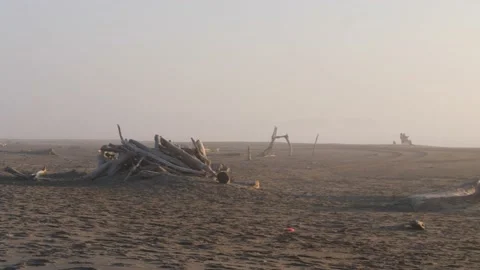 Two people sit on Bullards Beach with a ... | Stock Video | Pond5