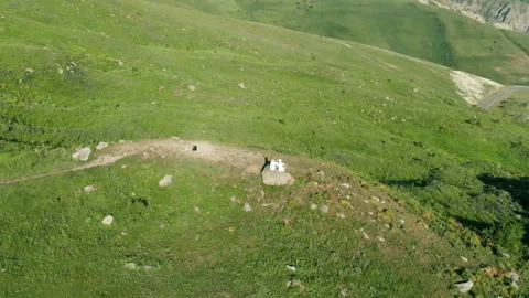Two people sit on the edge of a cliff and look at a beautiful mountain valley Stock Footage 201306805