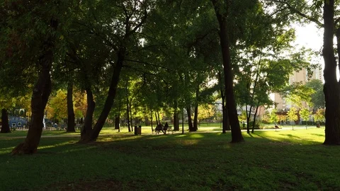 Two people sitting on a bench in the park in autumn. Stock Footage 119537006