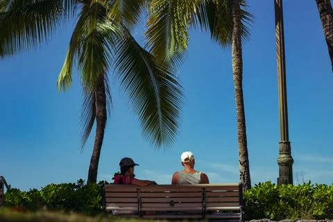 Two people sitting on a bench under palm trees on a sunny day Stock Photos