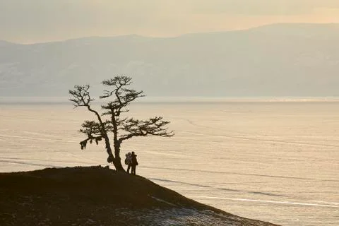 Two people stand under a tree against the background of the sunset Stock Photos
