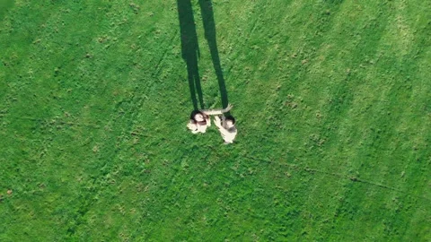 Two People Standing on Green Grass from Above Stock Footage 314995290