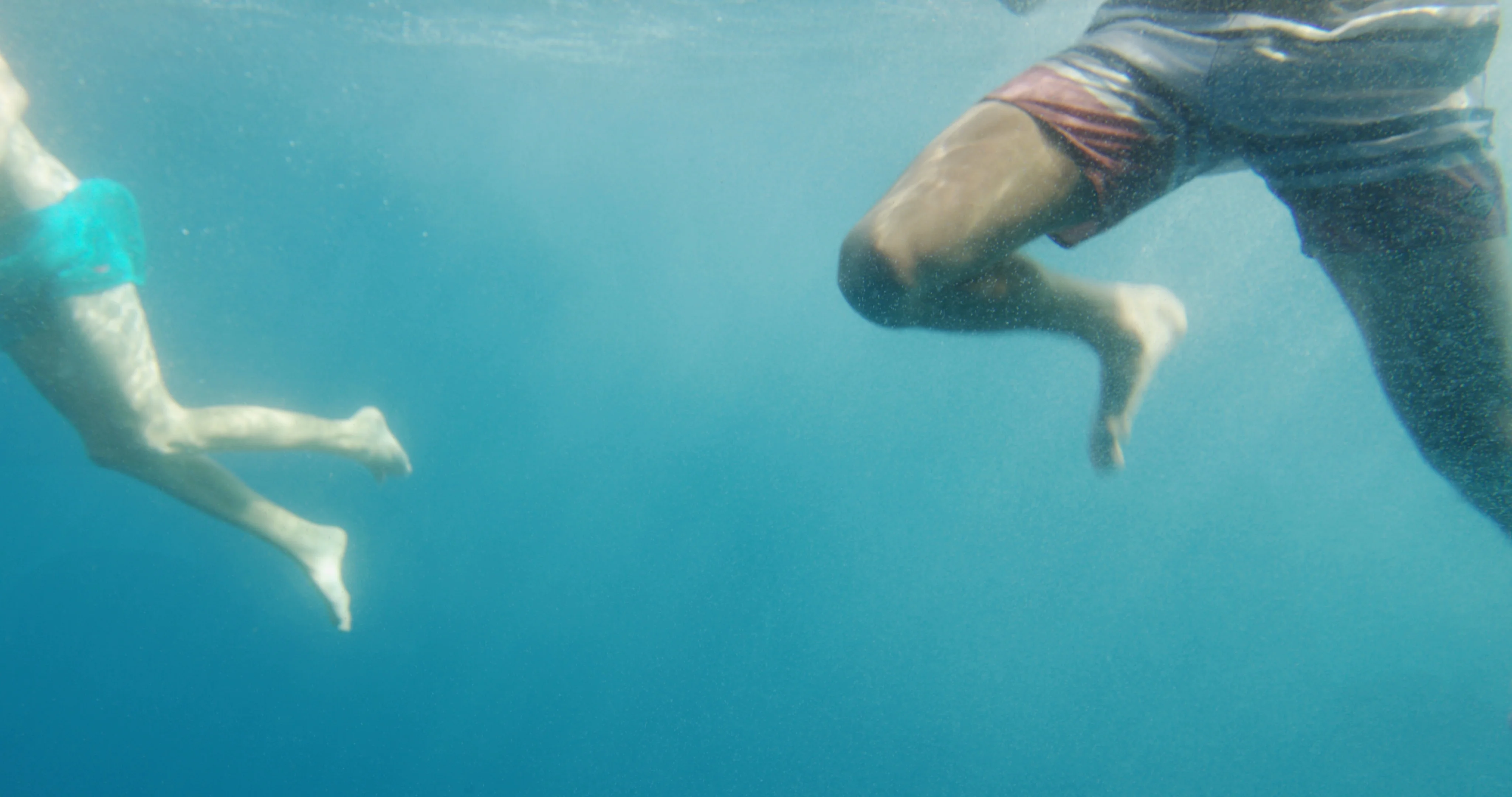 person swimming underwater in ocean