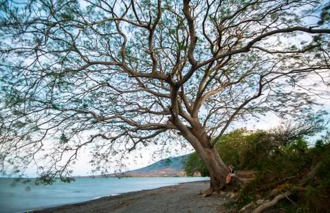 Two people under a large tree hanging over a lake in Nicaragua Stock Photos