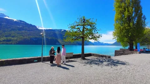 Two People Under Tree by Turquoise Lake Brienz, Switzerland 4K Stock Footage 341279654